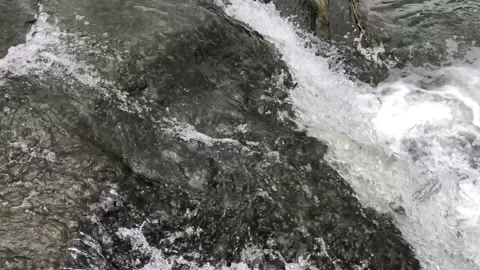 Clean transparent water flowing forcefully on the rock to the lake. close up Video stock 159061977