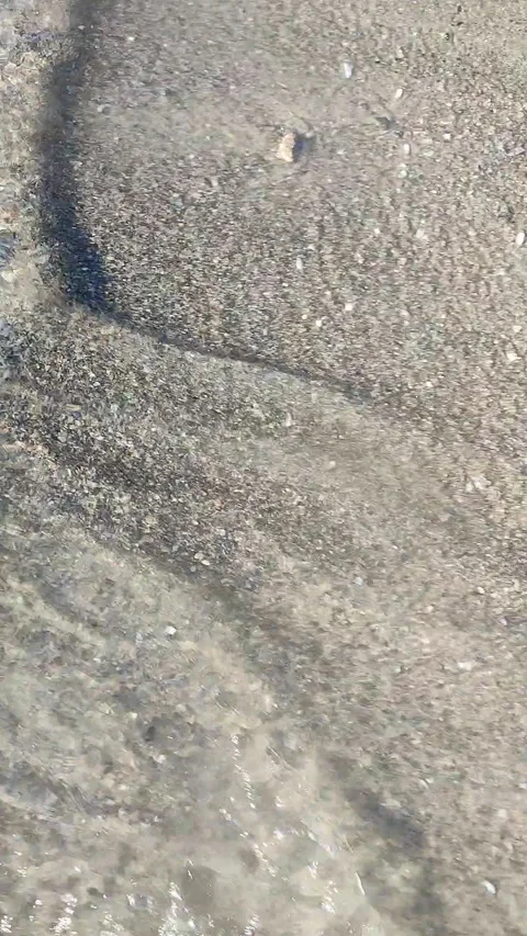 Clean transparent water rolling sandy beach shells sunny summer day Vertical Stock Footage 321606468