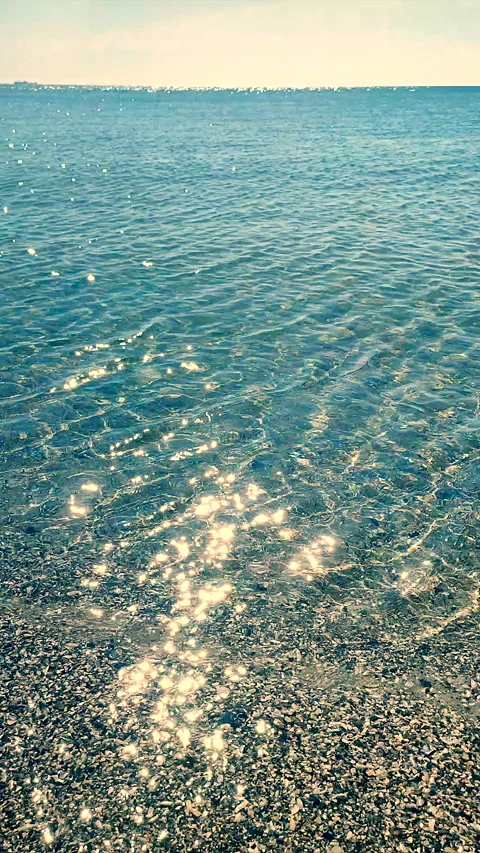 Clean transparent water shallow sandy seashore shells sunny summer day Vertical Stock Footage 327590624