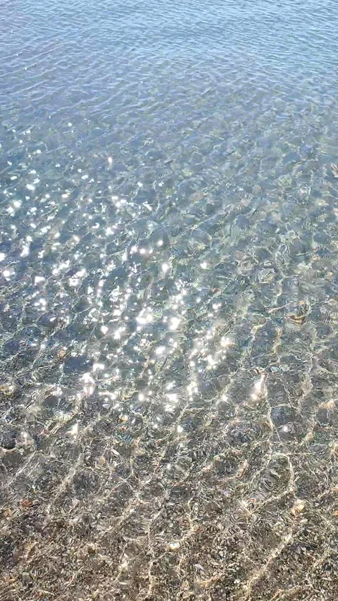 Clean transparent water shallow sandy seashore shells sunny summer day Vertical Stock Footage 327590652