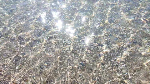 Clean transparent water shallow sandy seashore shells sunny summer day Stock Footage 327657387