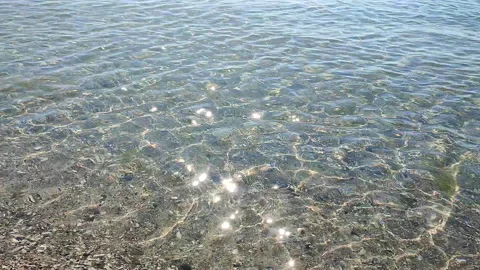 Clean transparent water shallow sandy seashore shells sunny summer day Stock Footage 328698856