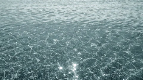 Clean transparent water shallow sandy seashore shells sunny summer day Video stock 332295523