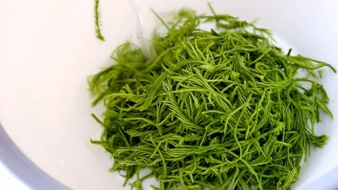 Clean vegetable Stock Footage 73899698