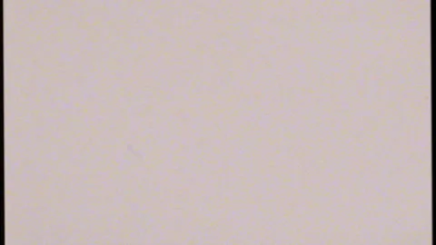 Clean VHS defects, Artifacts, Noise, Film dust, and Hair. Flickering old damaged Stock Footage 155627382