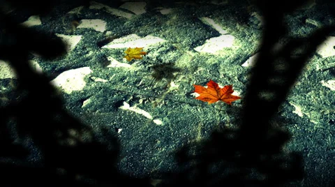 Clean Water Behind Bars Background Stock Footage 39444241