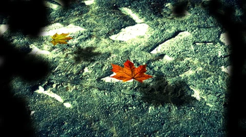 Clean Water Behind Bars Background 2 Stock Footage 39491027