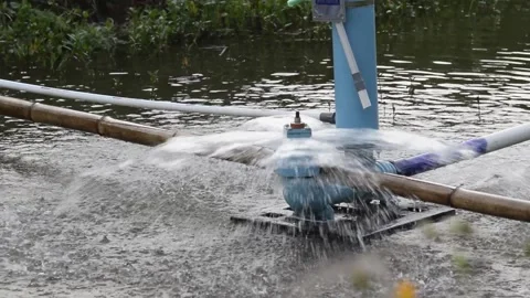 Clean water comes out of the pump 5 Stock Footage 149331274