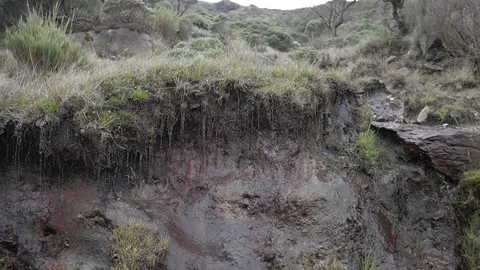 Clean water falling from paramo and frailejon sources Vídeo Stock 123448084