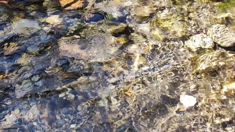 Clean water flowing at the end of winter Video stock 224535145