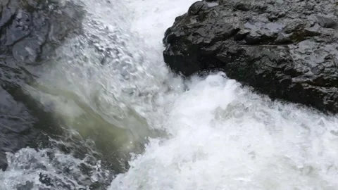 Clean water flowing in the forest Stock Footage 266764613