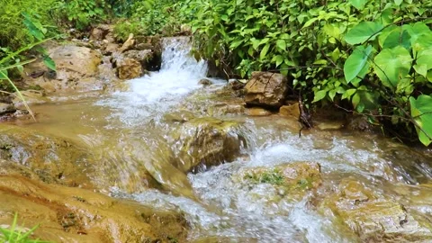 Clean water flowing from the mountain Stock Footage 155276858