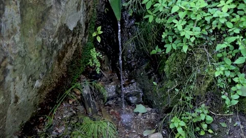 Clean water flowing from the mountain Video stock 155367806