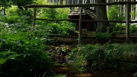 Clean water flowing from spring in the forest. Clean pure water is pouring Stock Footage 95724190
