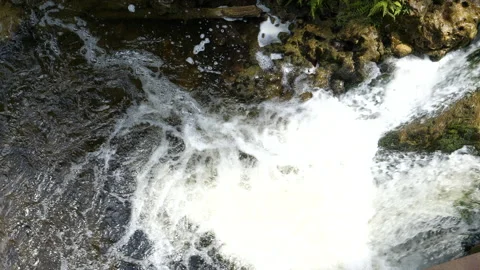 Clean Water Flowing Stream Cascading Into River Over Rocks By Shaded Shoreline Stock Footage 200552672
