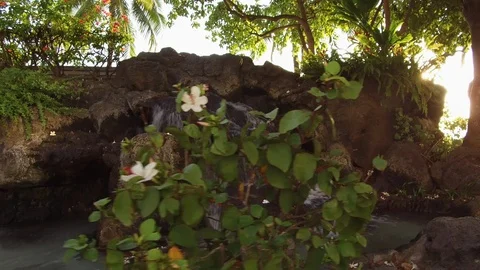 Clean water flowing through rocks in a beautiful pond Stock Footage 117746613