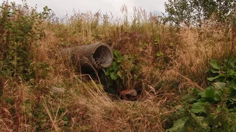 Clean water flows from a pipe Stock Footage 68943902
