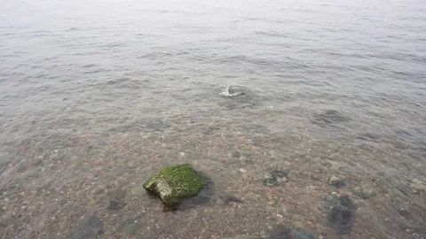 Clean water Vídeo Stock 91873785