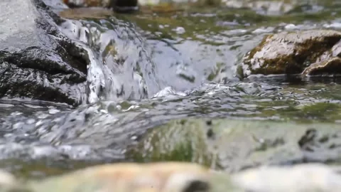 Clean water Stock Footage 242980704