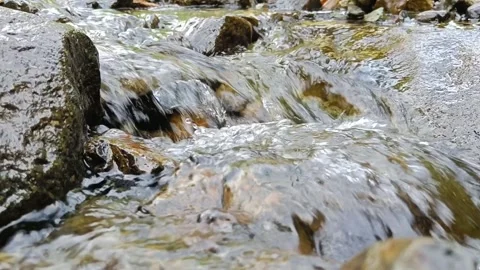 Clean water Stock Footage 242980731