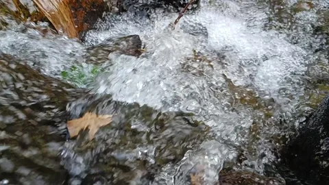 Clean water Stock Footage 242980816