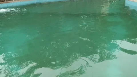 Clean water Stock Footage 291008572