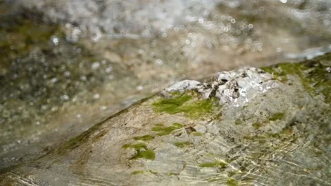 Clean water of a mountain river is flowin over rocks (slow motion, bokeh) Stock Footage 212729072