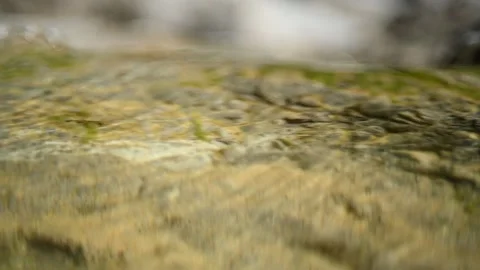 Clean water from a mountain river flows over rocks and the sunlight creates effe Stock-Footage 212729423