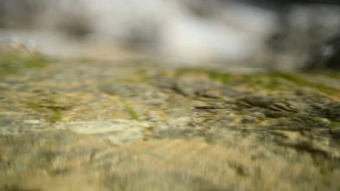 Clean water from a mountain river flows over rocks and sunlight effects (bokeh) 스톡 동영상 212730329