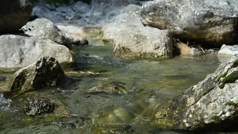Clean water runs between rocks of a mountain stream Video stock 260834252