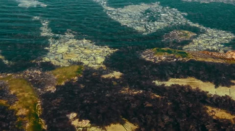 Clean water in the sea with some algae Stock Footage 55550358