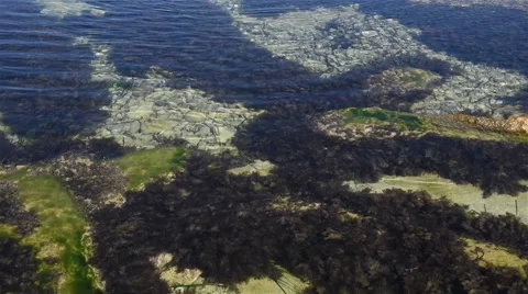 Clean water in the sea with some algae Stock Footage 55550391