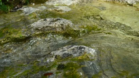 Clean water from a small mountain stream flowing over rocks Video stock 211471548