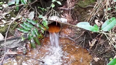 Clean water as a source of life Stock Footage 172348361