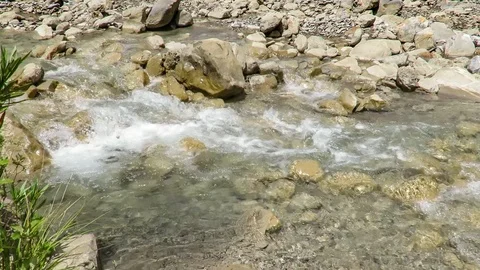 Clean water stream flow between the rocks and bushes Stock Footage 111233175