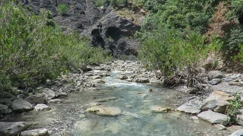 Clean water stream flow between the rocks and bushes and the mountains Stock Footage 111612840