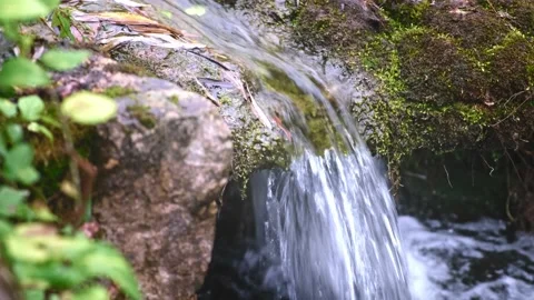 Clean Water Stream Flowing Over The Mossy Rocks 스톡 동영상 237094176