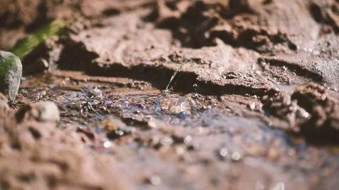 Clean water stream flows through the sand and glare in the sun Video stock 78930700