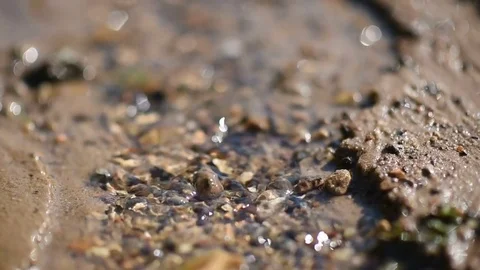 Clean water stream flows through the sand and glare in the sun Video stock 78930950