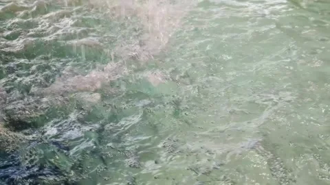 Clean water surface ripples and splashes from falling droplets creating abstract Stock-Footage 344093849