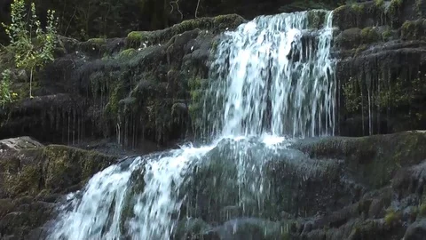 Clean waterfall splashing down mossy rocks in woodland Stock Footage 92576515