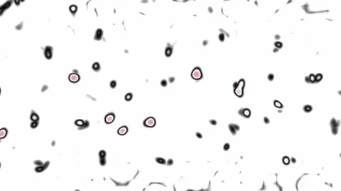 Clean white background with floating microscopic particles and bubbles Видео 330902717