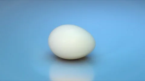 Clean White Egg Loop Stock Footage 301802944