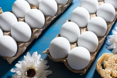 Clean white eggs on a deep blue background, flat lay Fotos de archivo