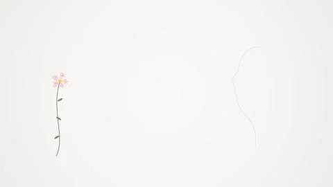 Clean white empty screen background loop for modern presentations and brandin Stock Footage 344516308