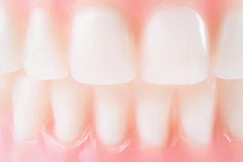 Clean white false teeth close up. Foto stock