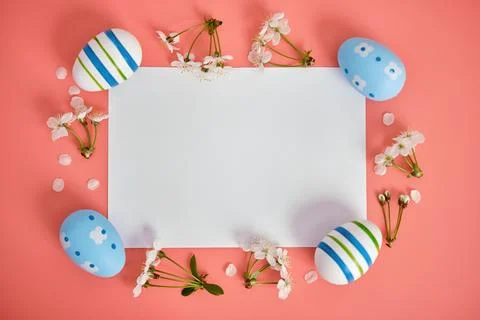 A clean white leaf, a cherry branch and Easter eggs with blue stripes on a pink Stock Photos