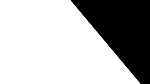 Clean White Screen Transition for Modern Video Projects and Creative Edits. Видео 340124147
