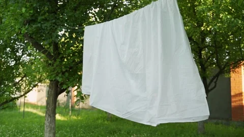 Clean white sheet is hanging on a clothesline in the backyard. Laundry is dried Stock Footage 156510517