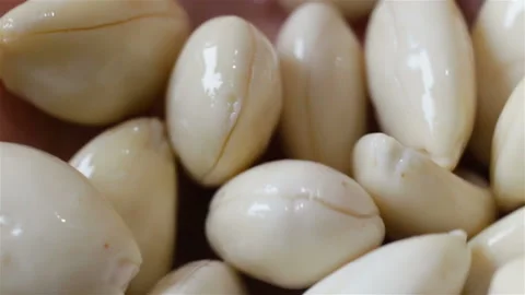 Clean, white, wet, damp kernel of almond. Extremely close-up, real time, contain Stock Footage 111737509